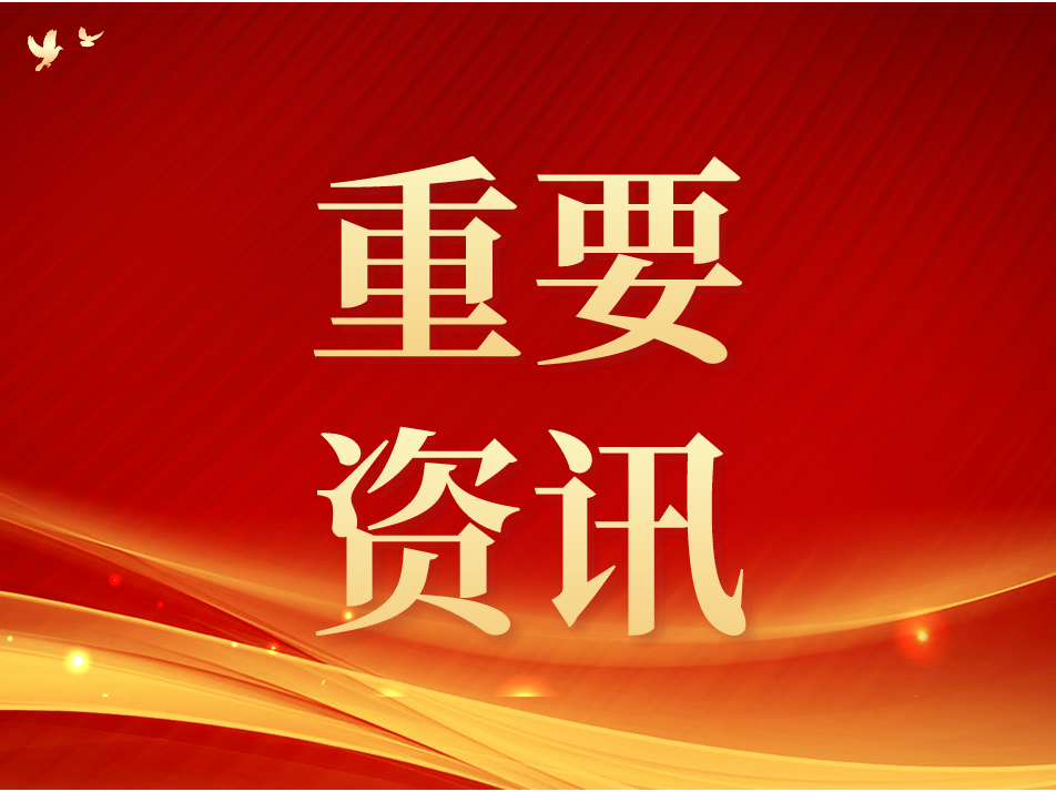 中央社会工作部召开全国性行业协会商会 第二批学习贯彻习近平新时代中国特色 社会主义思想主题教育总结会